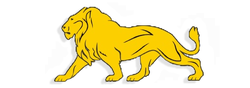 VSCG Logo