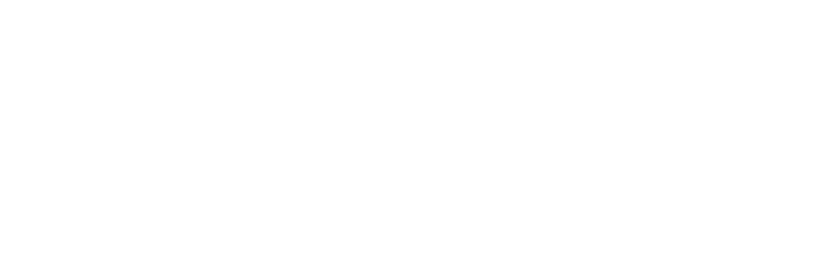 Vishaal Singh Signature